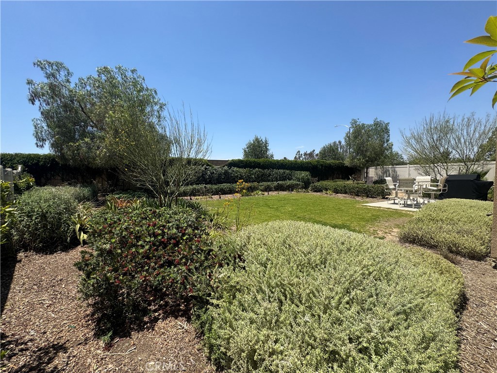 36067 Roaring Fork