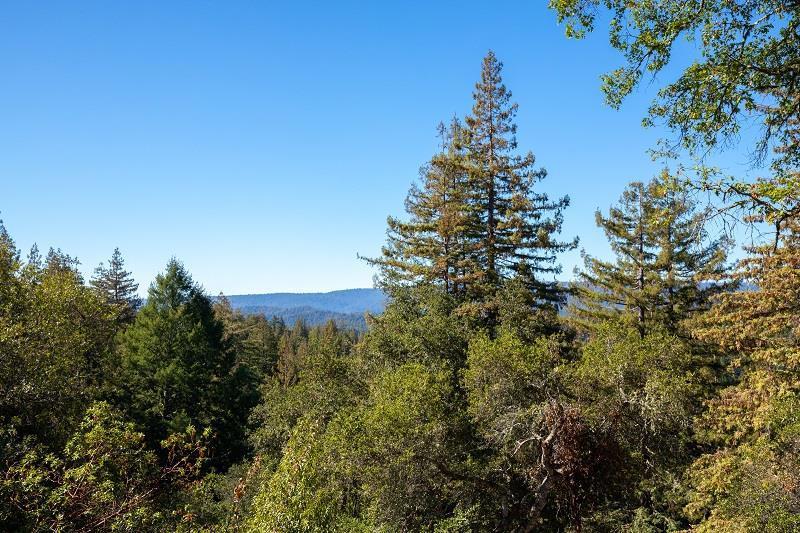 3500 Bear Canyon Road