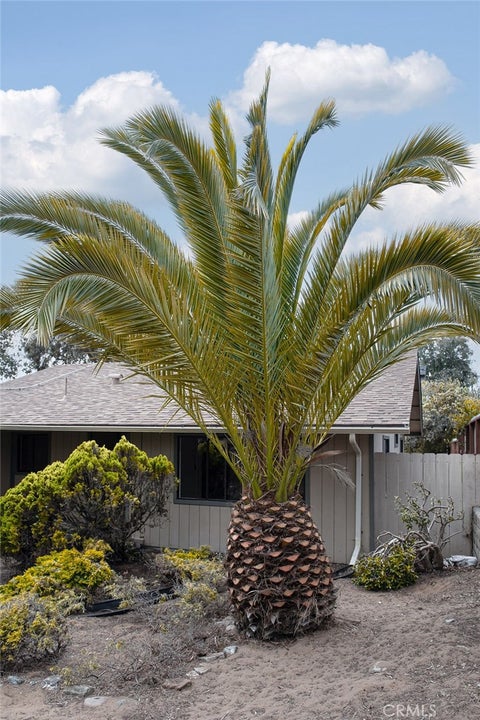 Tiny photo for 1545 6th Street, Los Osos, CA 93402 (MLS # SC26152320)