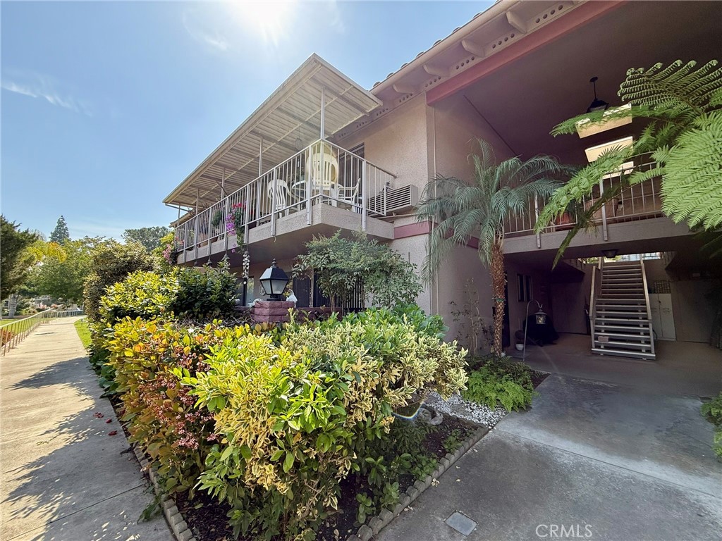 851 Ronda Mendoza B