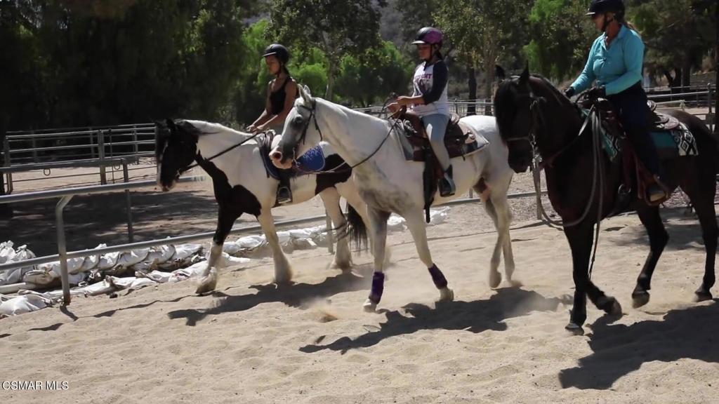 Bridle Path (SDLBK)-317 - 317 - Residential