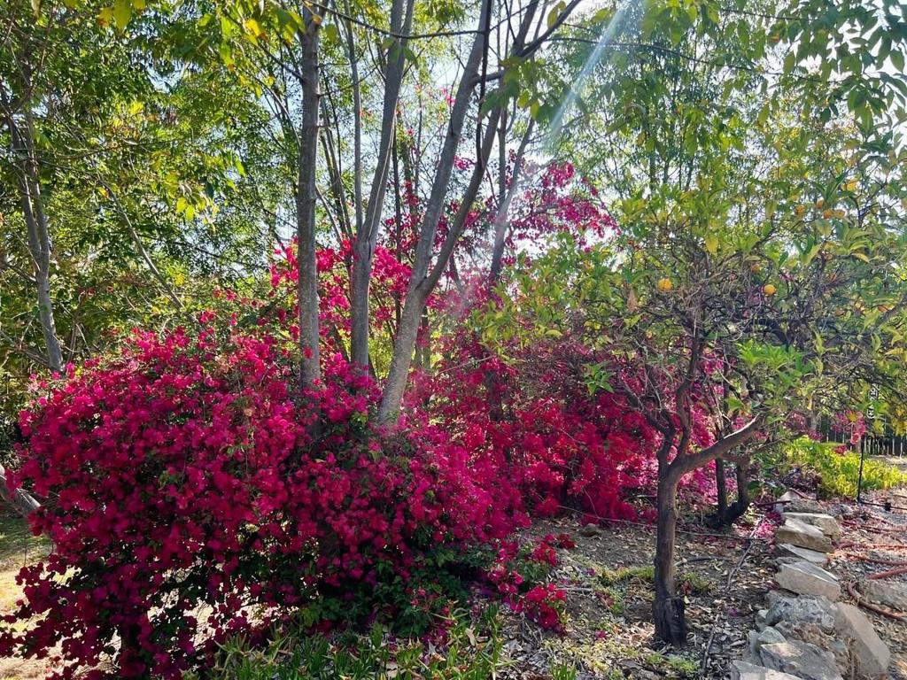 La Mesa - Residential