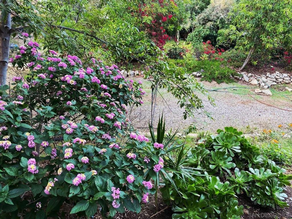 La Mesa - Residential