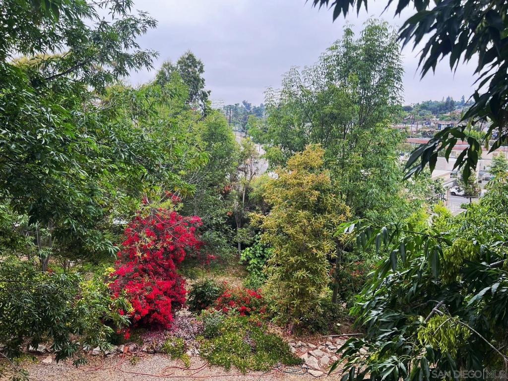 La Mesa - Residential