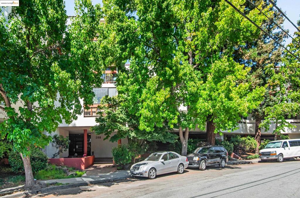 PIEDMONT AVENUE - Residential