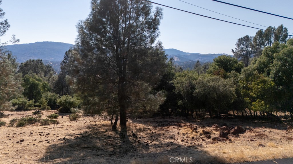 15781 Little Peak Road