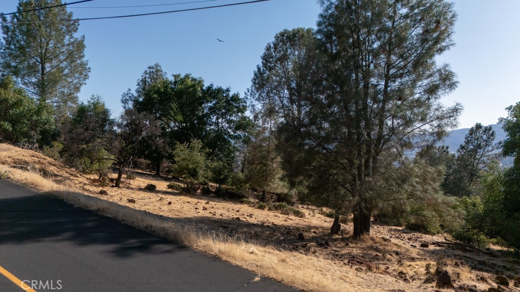 15781 Little Peak Road