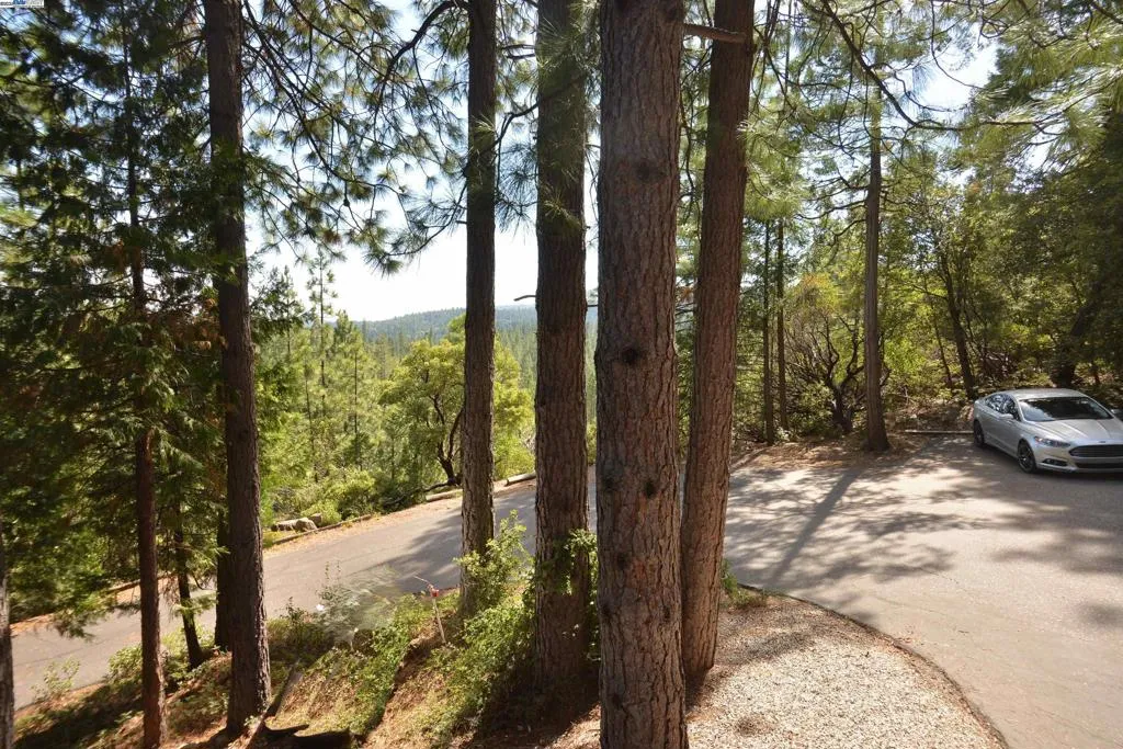 Nevada City, California 95959, United States, 3 Bedrooms Bedrooms, ,3 BathroomsBathrooms,Residential,Active,184690