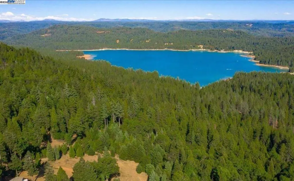 Nevada City, California 95959, United States, 3 Bedrooms Bedrooms, ,3 BathroomsBathrooms,Residential,Active,184690