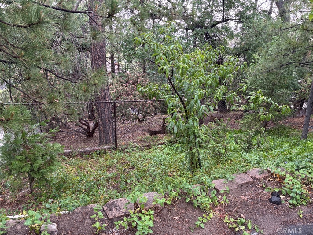 This vacant lot is located to the right of 1268 Aleutian Drive and within ALS boundaries. It is a buildable, fenced-in lot on a down-slope. *No address has been assigned*