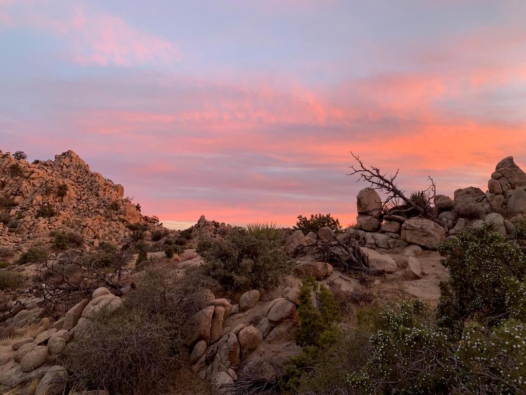 5850 Cactus Canyon Trail