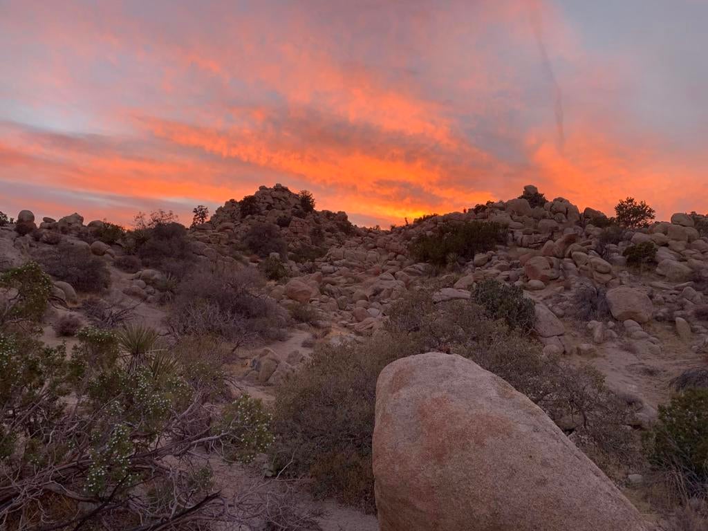 5850 Cactus Canyon Trail