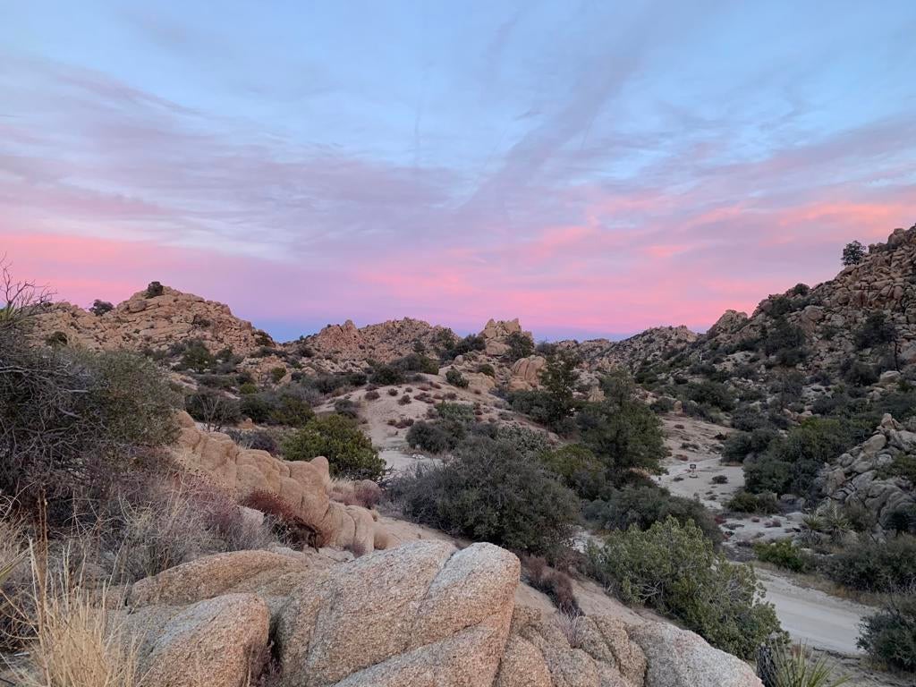 5850 Cactus Canyon Trail