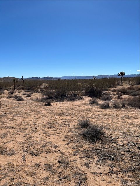 Photo of 0 Avalon, Landers, CA 92285 (MLS # JT26099930)
