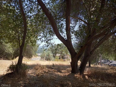 Photo of 0 Live Oak Drive, Oakhurst, CA 93644 (MLS # IG26054744)