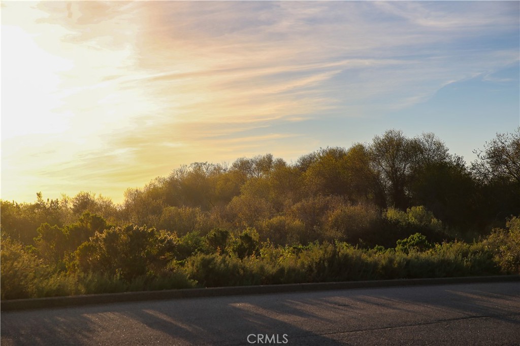 Custom - Residential Income