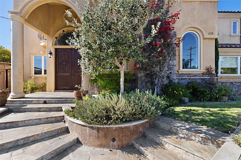 439 Catalina Drive