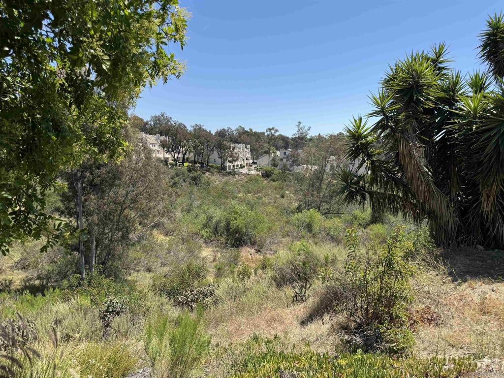 5687 Menorca Dr