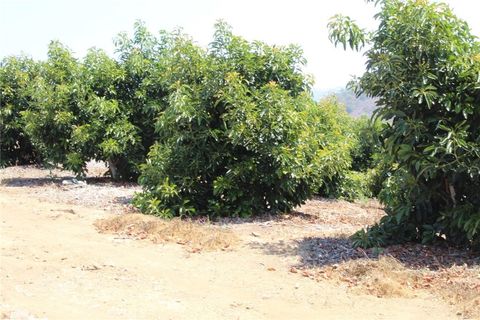 4 Via Vaquero Road Temecula CA 92590