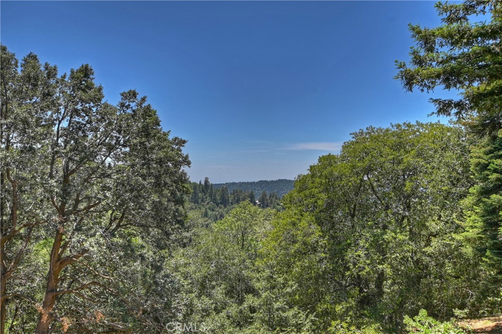 Twin Peaks (TWIN) - Residential