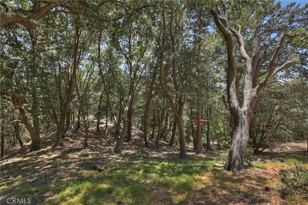 Twin Peaks (TWIN) - Residential