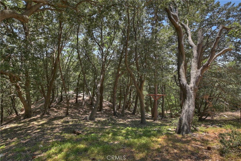 Twin Peaks (TWIN) - Residential