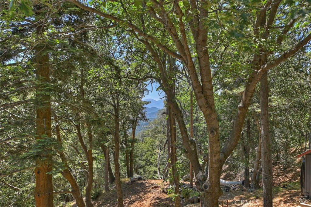 Twin Peaks (TWIN) - Residential