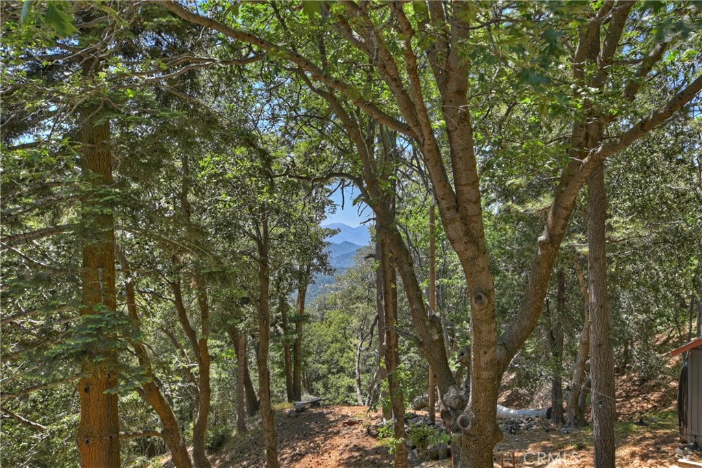 Twin Peaks (TWIN) - Residential