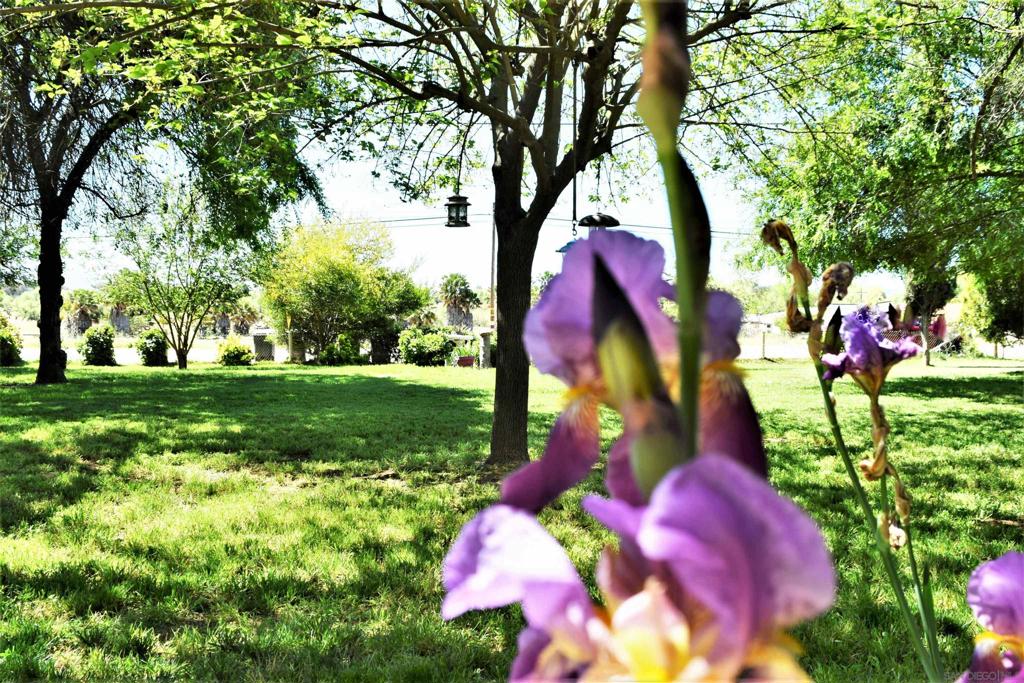 Ramona - Residential