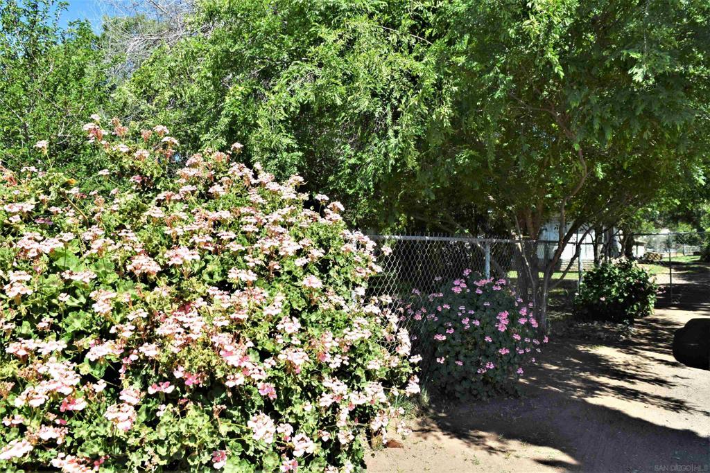 Ramona - Residential