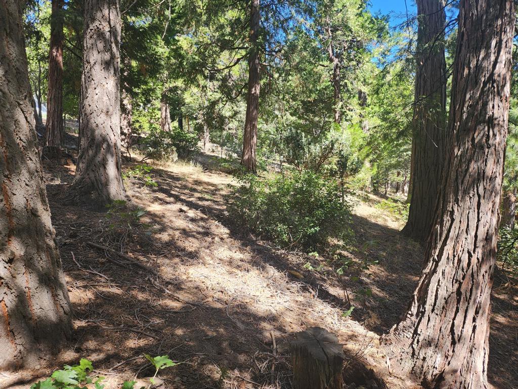 0 Grass Valley