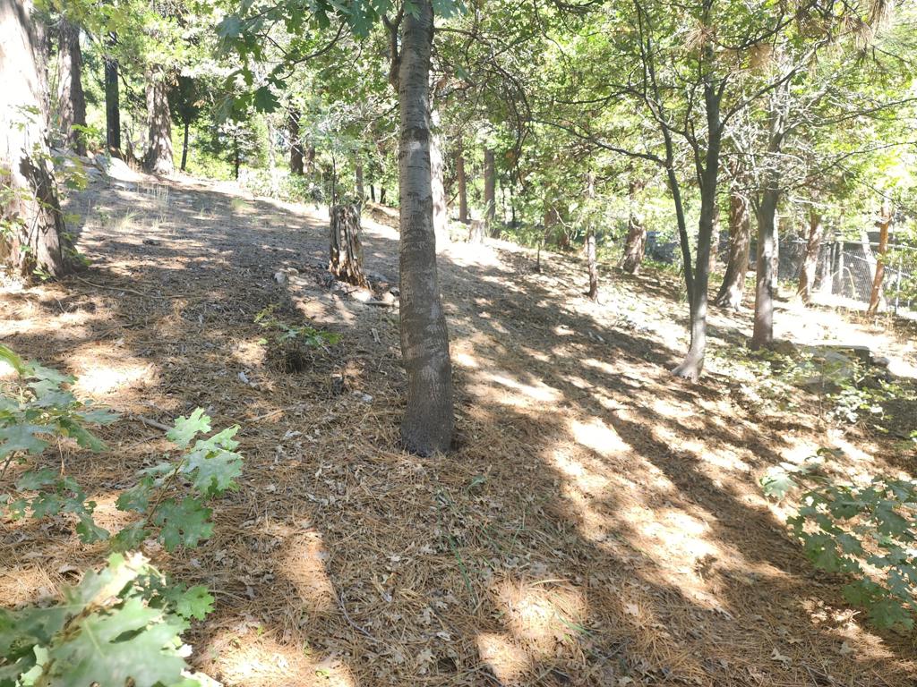 0 Grass Valley