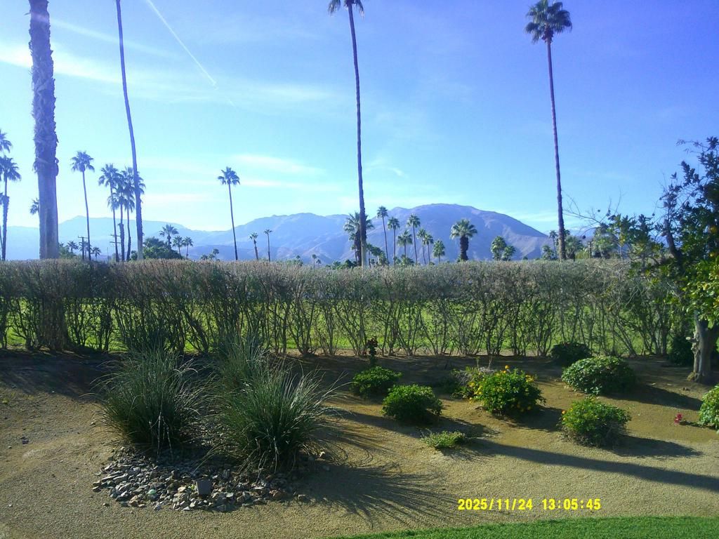 Photo of 46335 Burroweed Lane, Palm Desert, CA 92260 (MLS # 219139263DA)