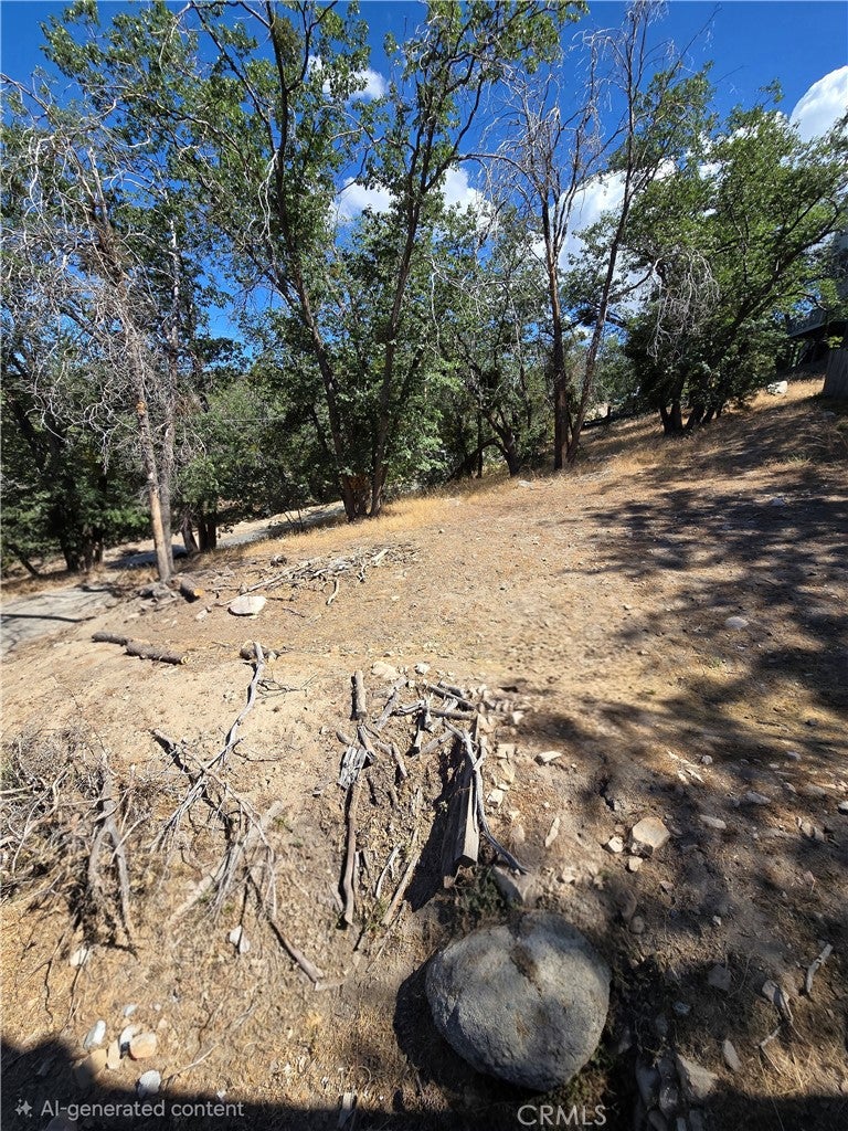 33460 Lakeview