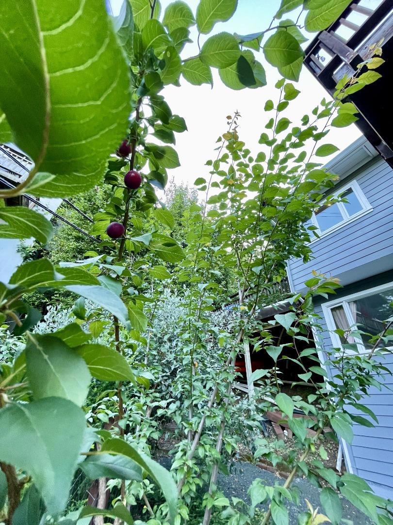 89 Frustuck Avenue