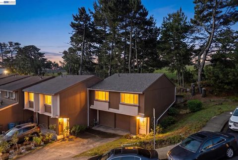 Photo of 103 Pamela Ct Ct, Daly City, CA 94015 (MLS # 41132356)