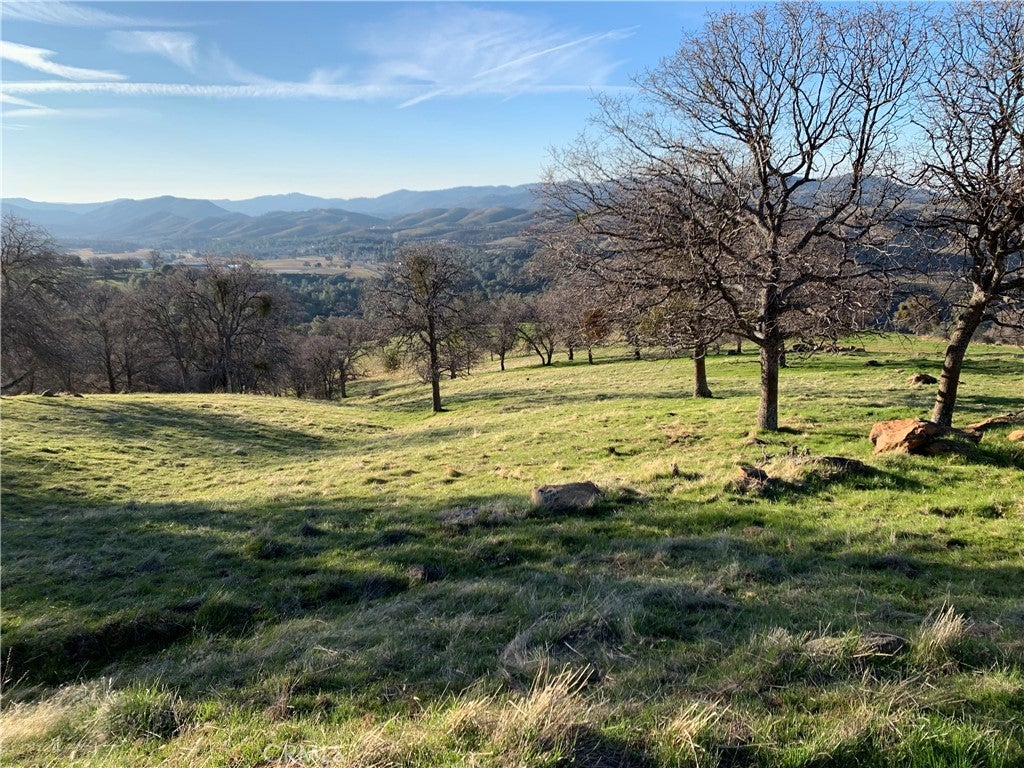 1532 -Acres CYA Road