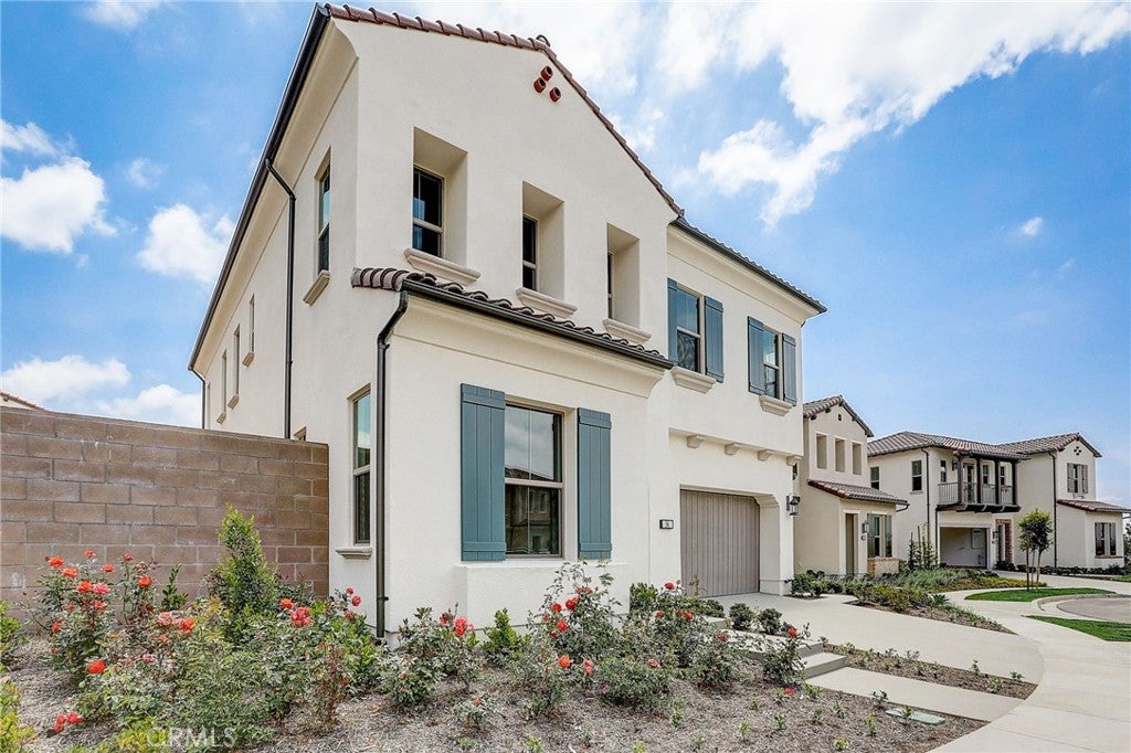 54 Cardamine