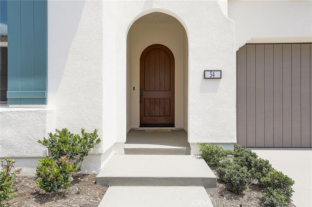 54 Cardamine
