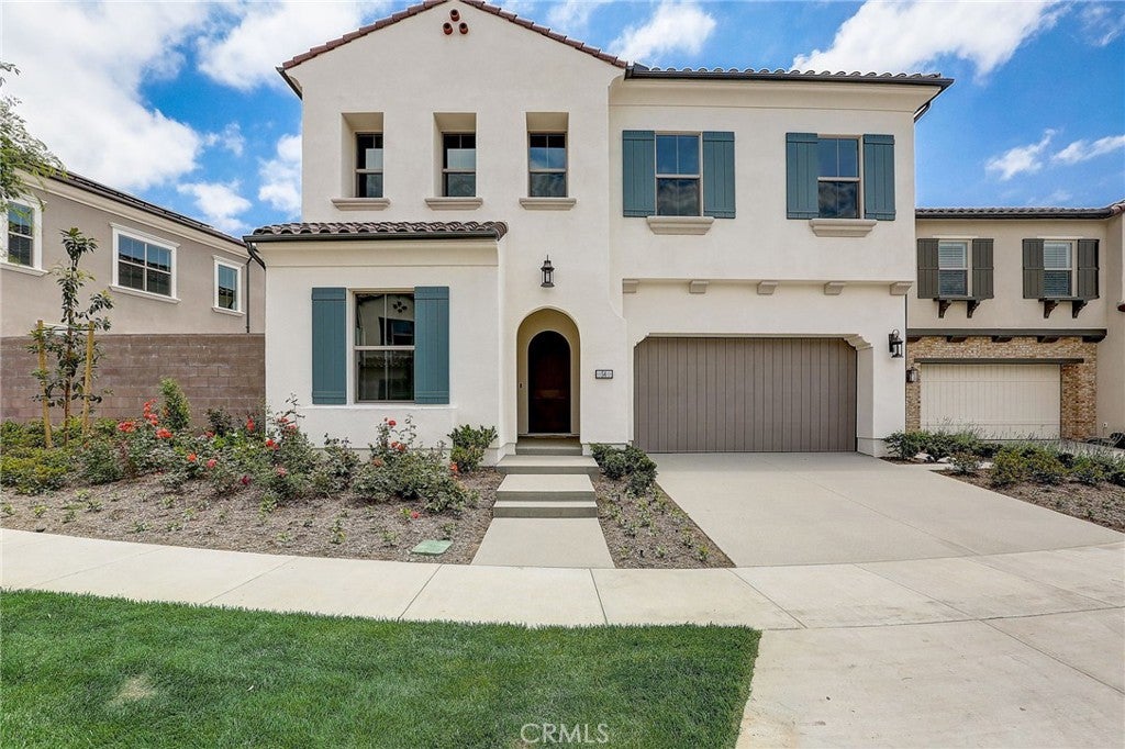54 Cardamine