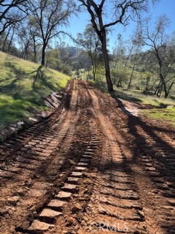 1484 Oregon Gulch Road