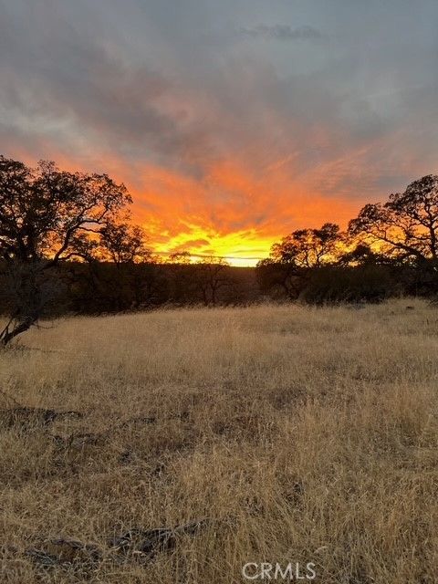 1484 Oregon Gulch Road Oroville CA 95965
