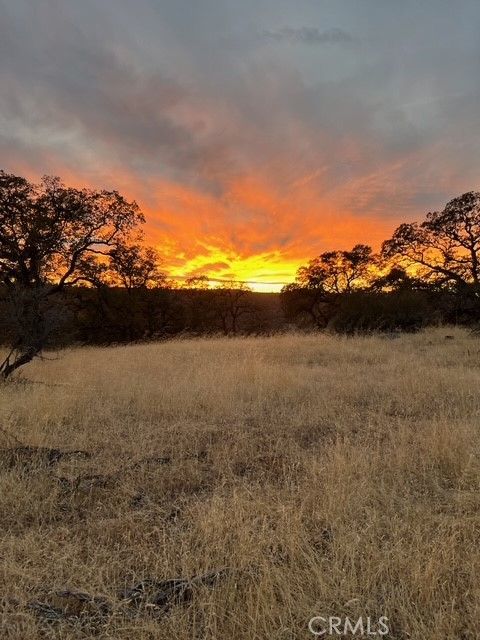 1484 Oregon Gulch Road Oroville CA 95965