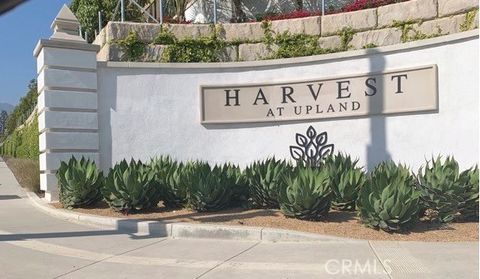 Photo of 2235 Rose Garden Court, Upland, CA 91786 (MLS # AR26089743)