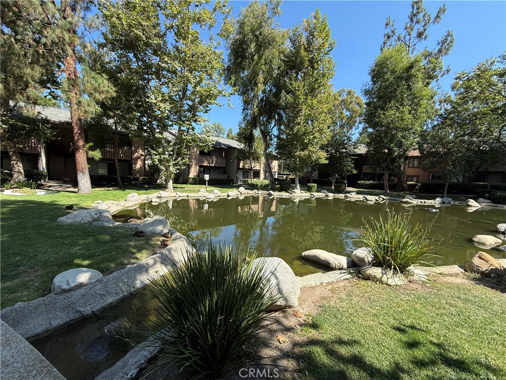 20702 El Toro Road 243