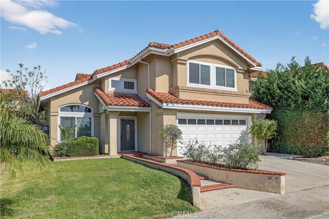 16 Mapache Rancho Santa Margarita CA 92688