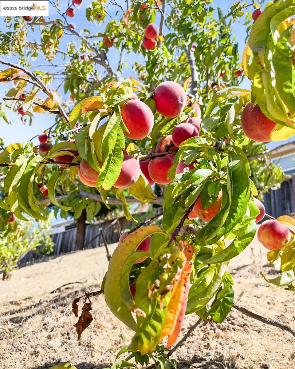 SAN MARCO - Residential