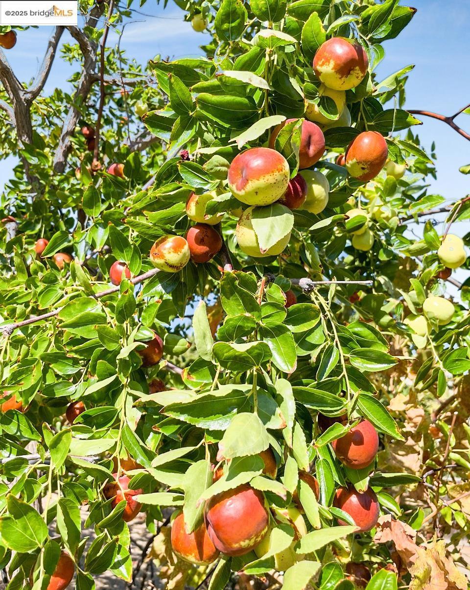 SAN MARCO - Residential