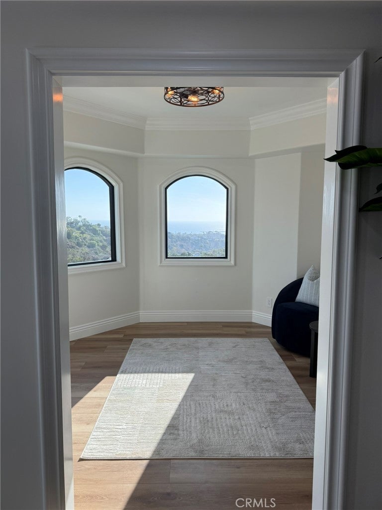 33801 Glocamora, San Juan Capistrano CA 92675 - Photo 10