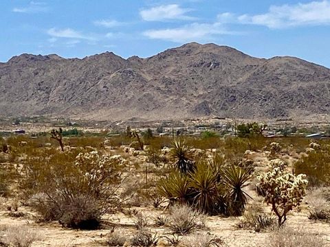 Photo of 117 Border Road, Joshua Tree, CA 92252 (MLS # 219144261PS)